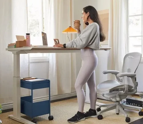escritorios-em-casa-ergonomicos