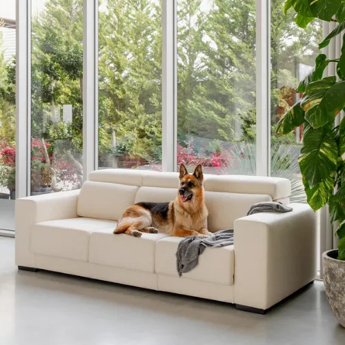 quanto-custa-mobilar-uma-casa-sofa-confortavel